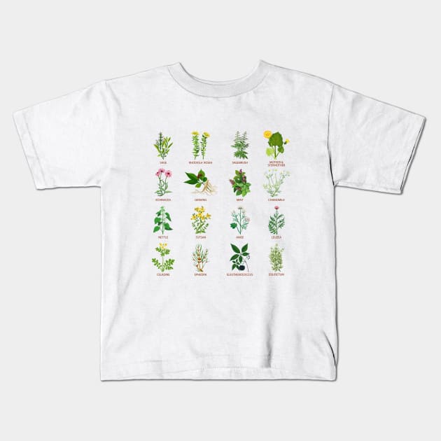 Wildflower Herbs Kids T-Shirt by iconicole